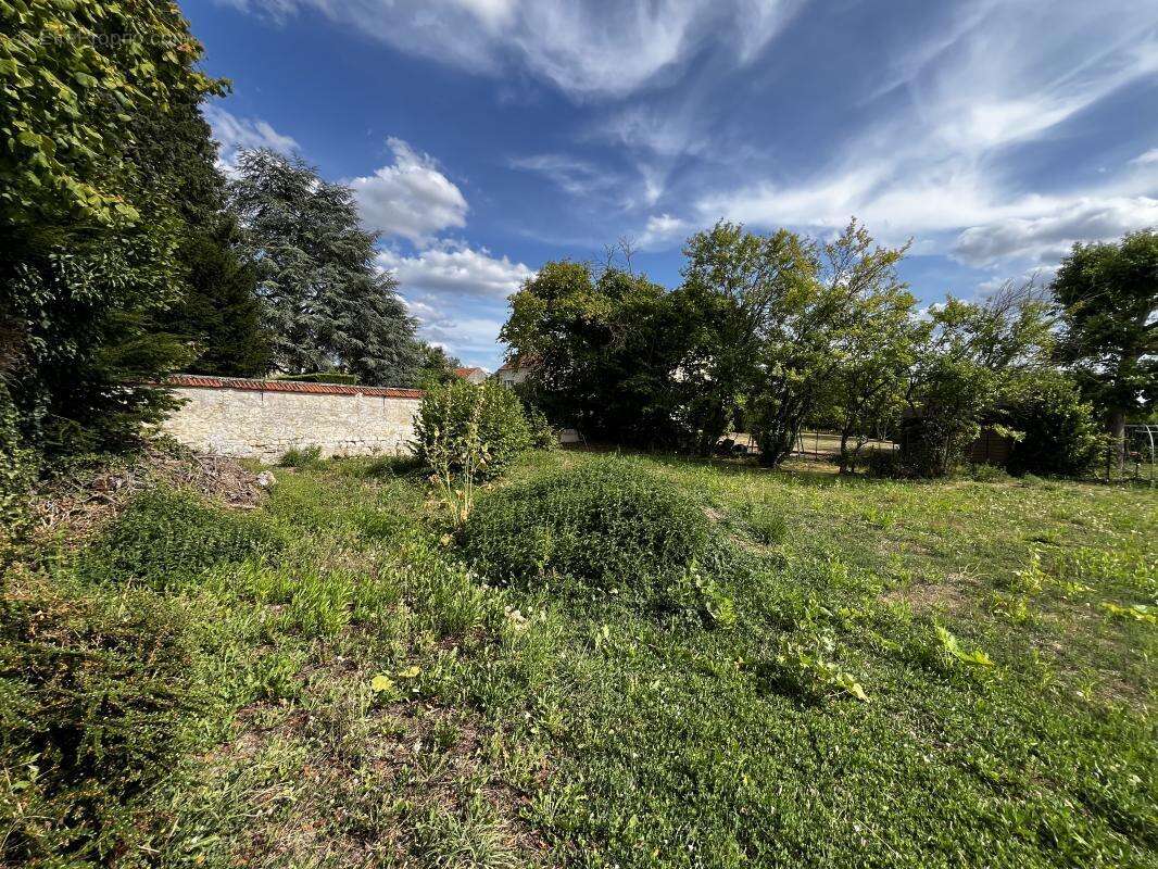 AUVERS SUR OISE (95) - Terrain à bâtir - 395m² - photo 2