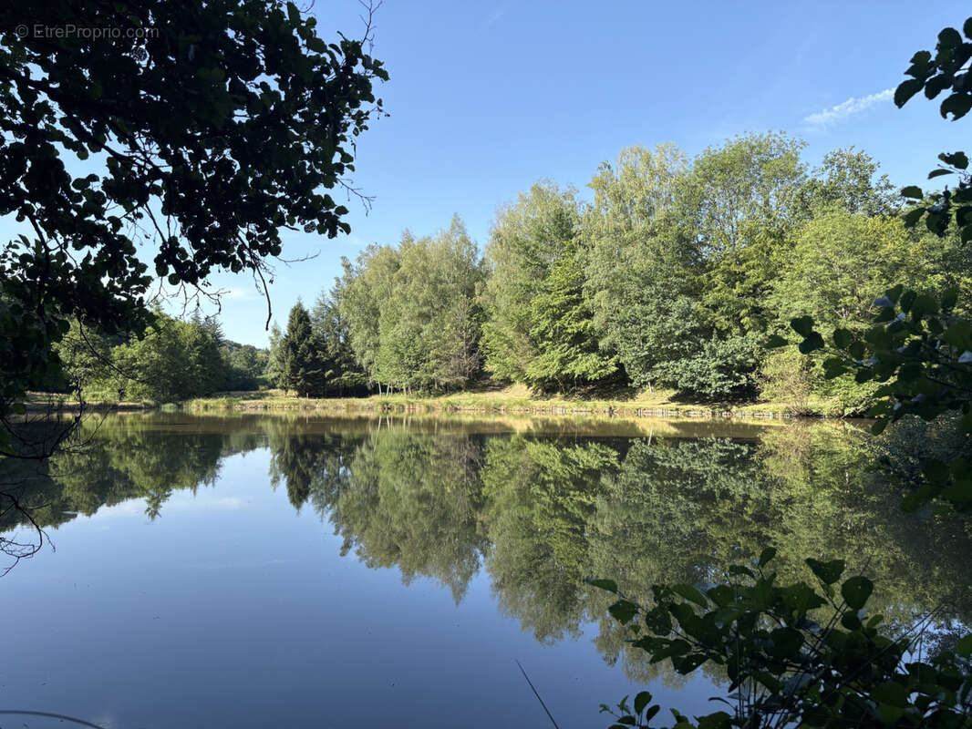 Bussière Galant un étang de loisir avec 1.4 ha de terrain boisé - photo 11