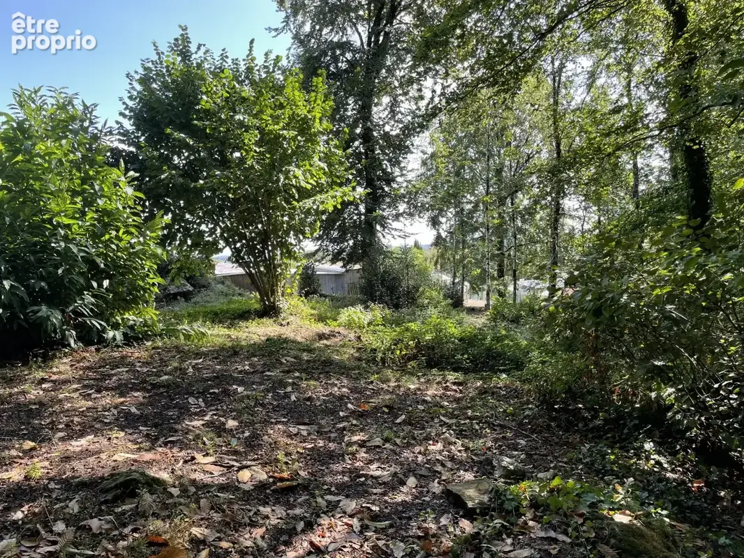 Proche Pompadour centre, voie sans issue - photo 10