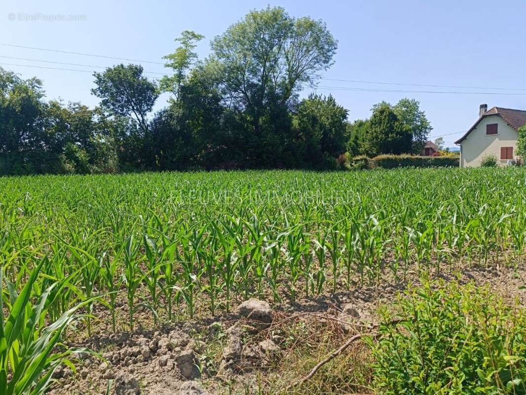 Terrain à GURS