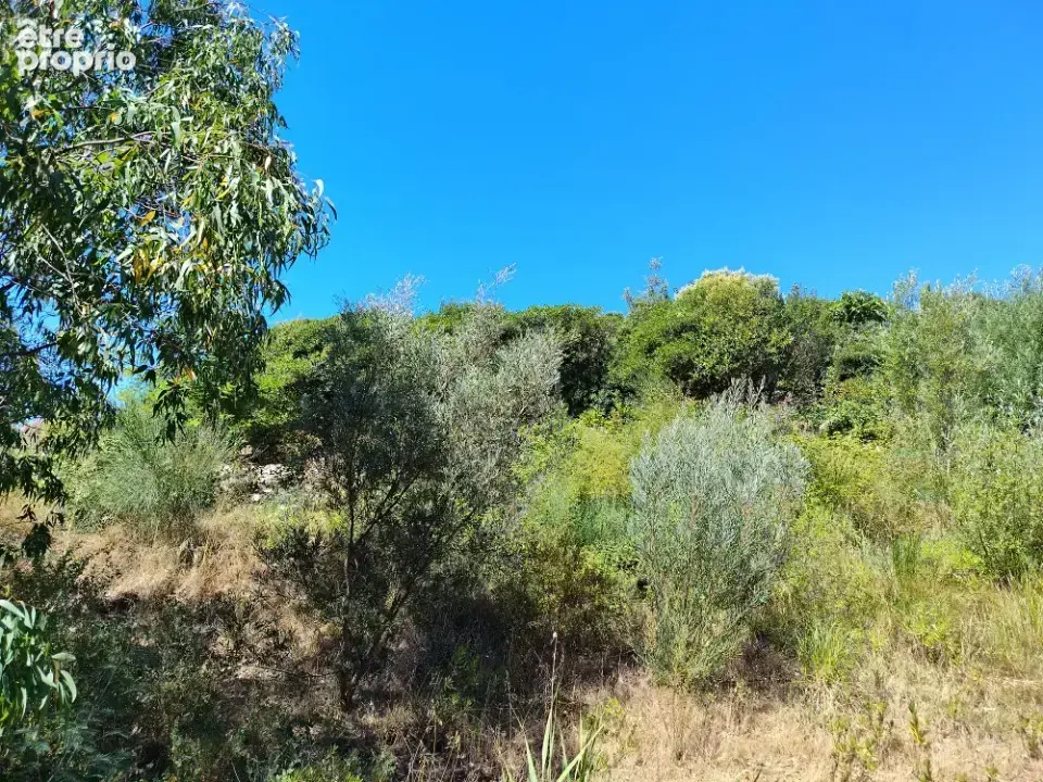 Terrain 1 568 m² à vendre à Sainte-Maxime (83120) - photo 4
