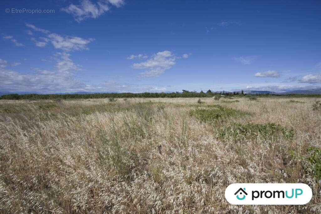 Terrain à SAINT-HIPPOLYTE