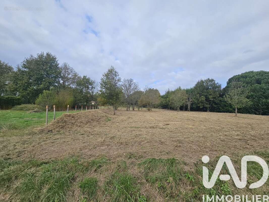 Photo 2 - Terrain à CASTELSARRASIN