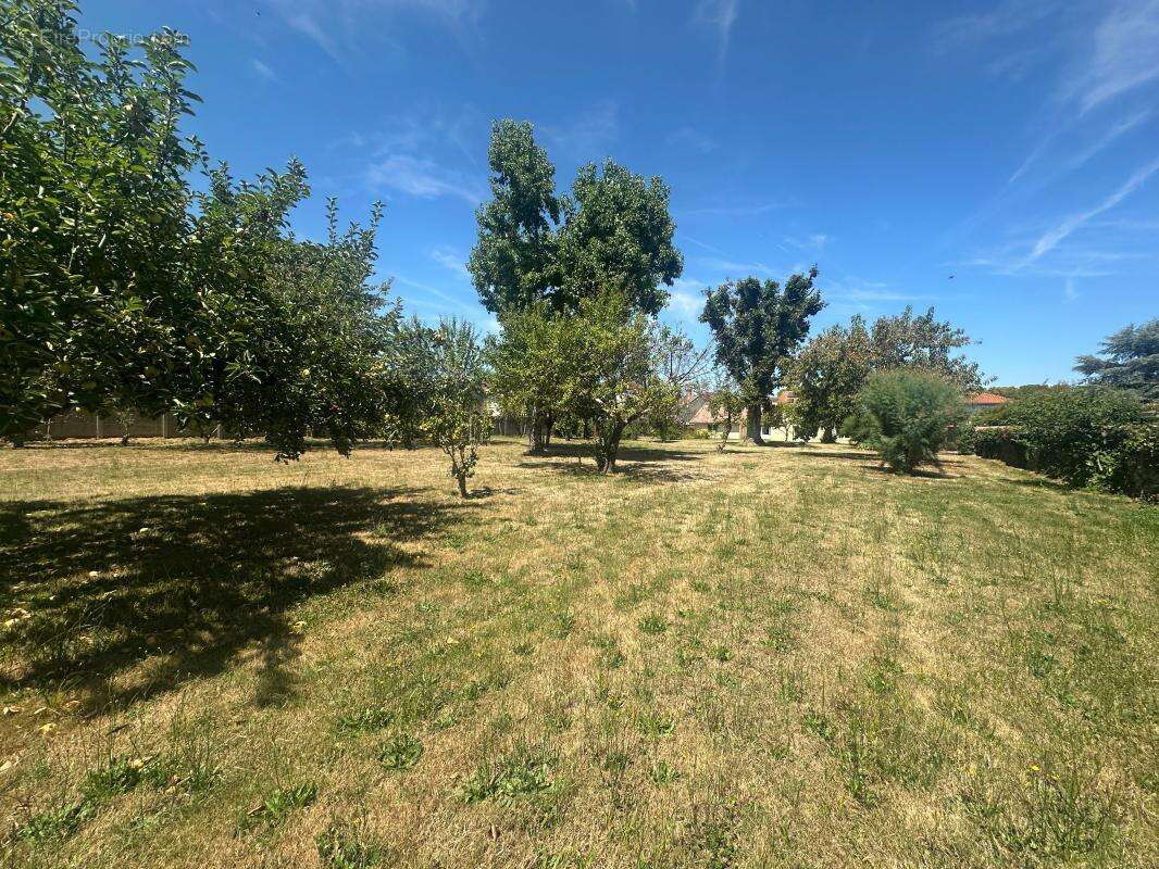 Maison à CASTETS-EN-DORTHE