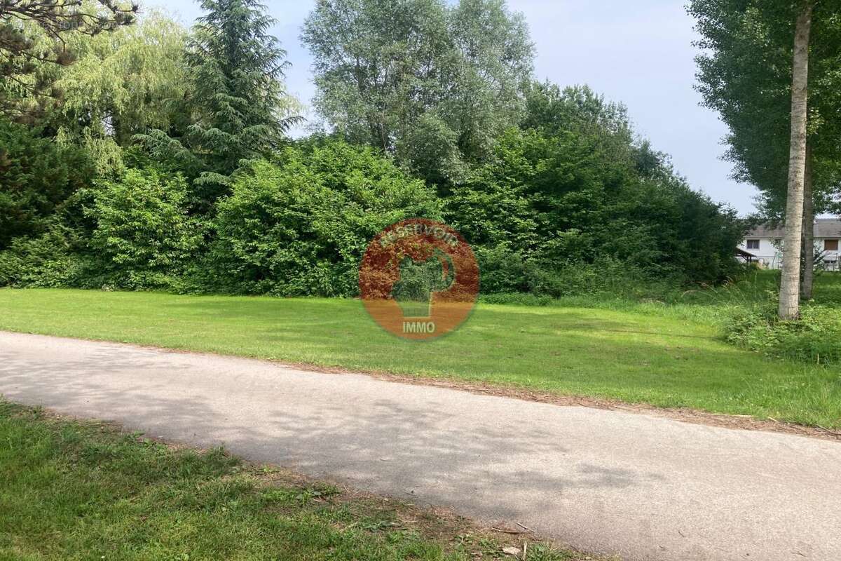 Terrain à SAINT-SAUVEUR