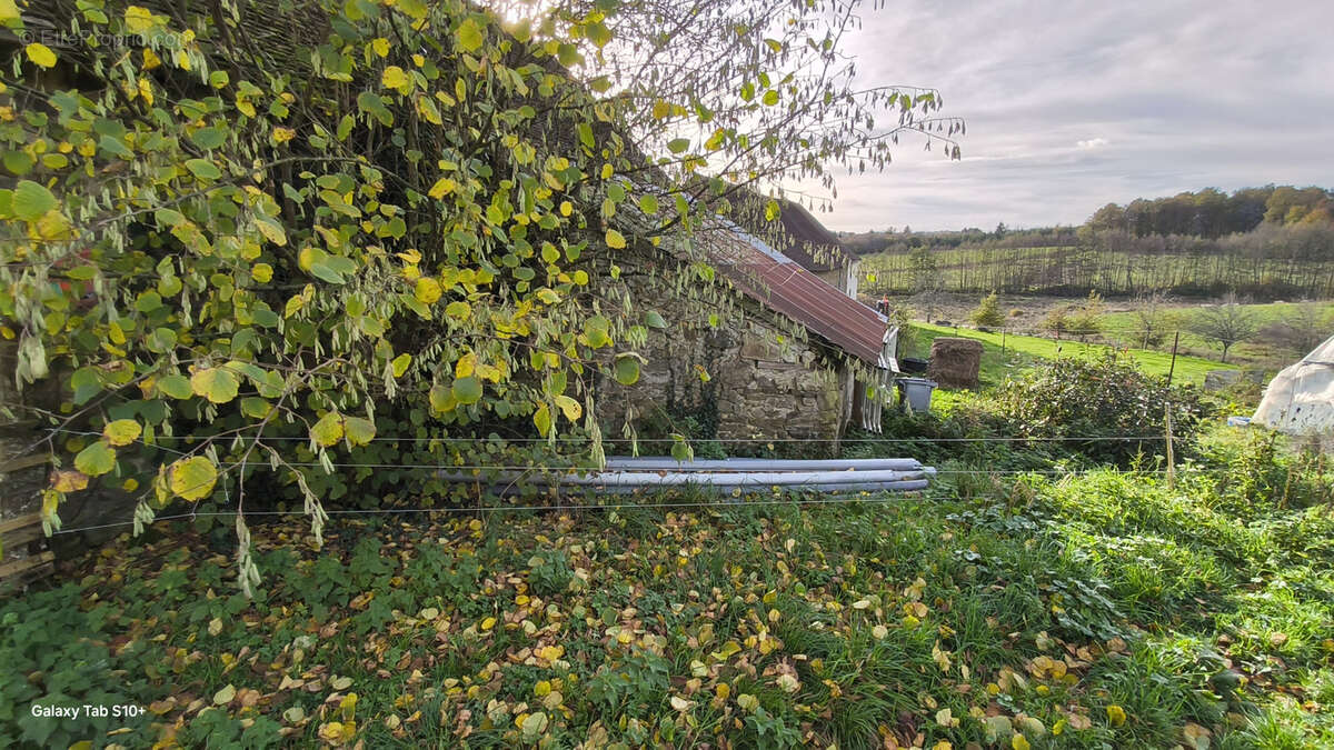 Maison à CHATEAU-CHERVIX