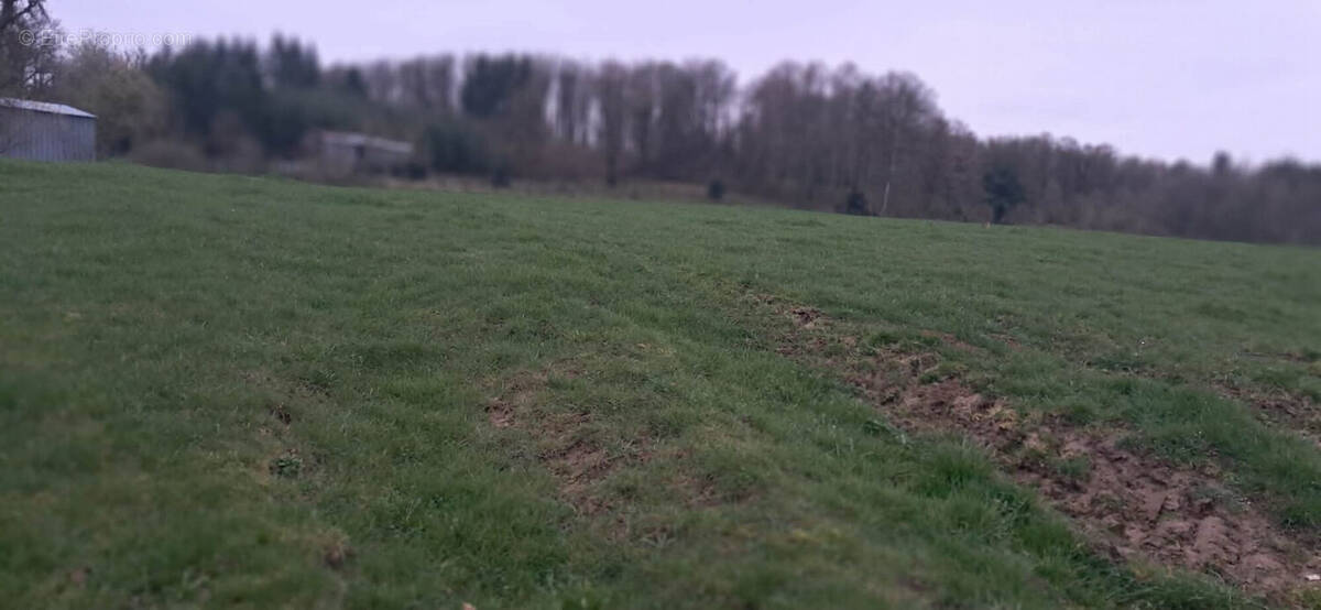 Terrain à GERNELLE