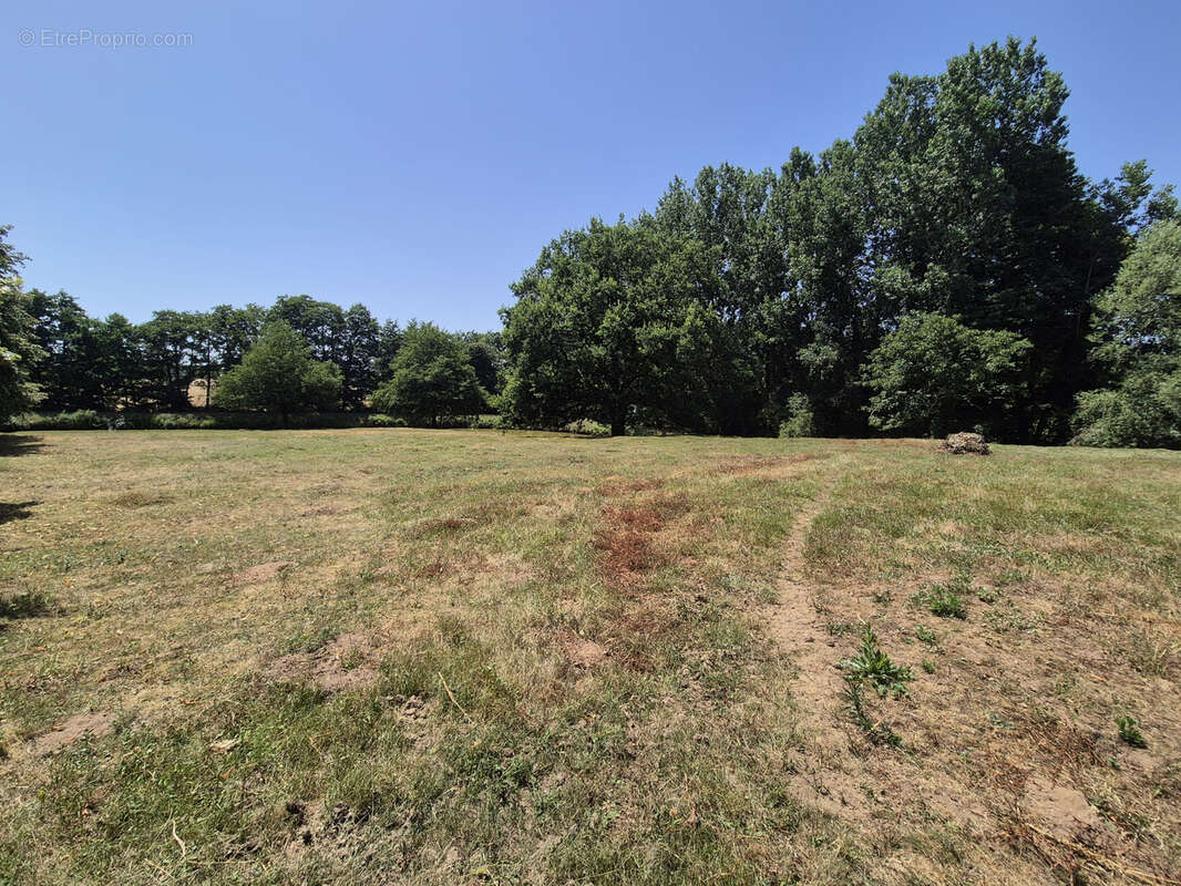 A vendre - exceptionnel ! secteur de parce sur sarthe - photo 3