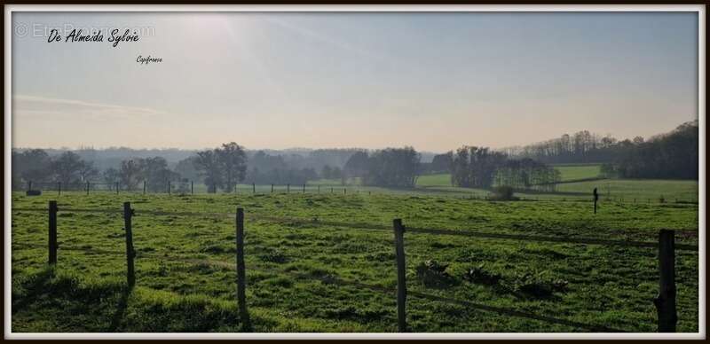 Commerce à BAGE-LA-VILLE