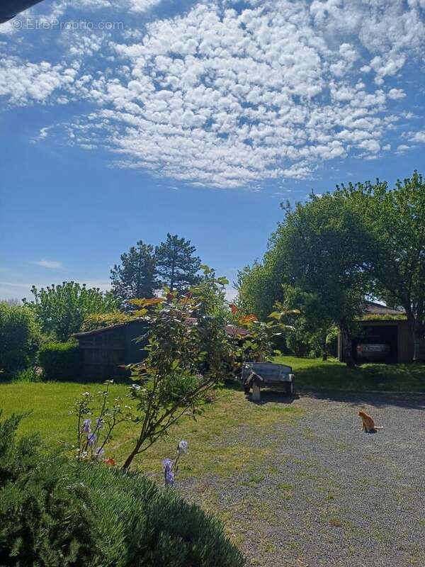 Maison 147 m² à Chatignac  - photo 4