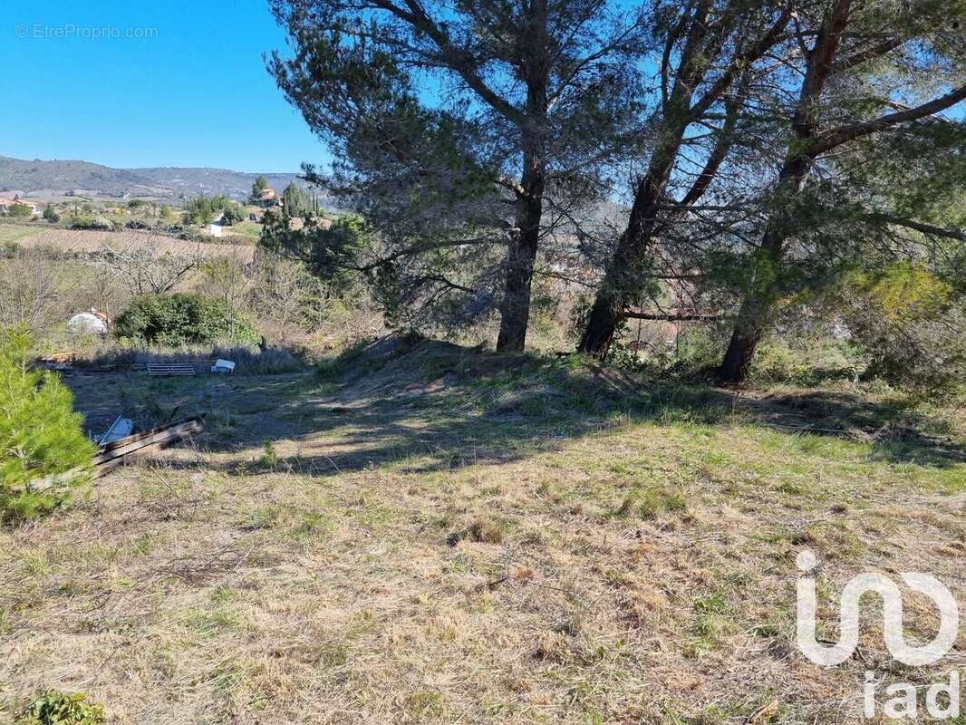 Terrain 1318 m² à Villeneuve-Les-Corbieres  - photo 2