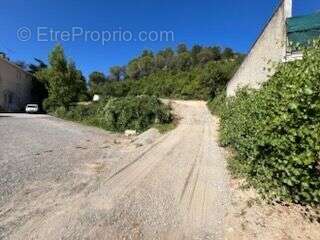 Beau Terrain hauteur  de Limoux - photo 5
