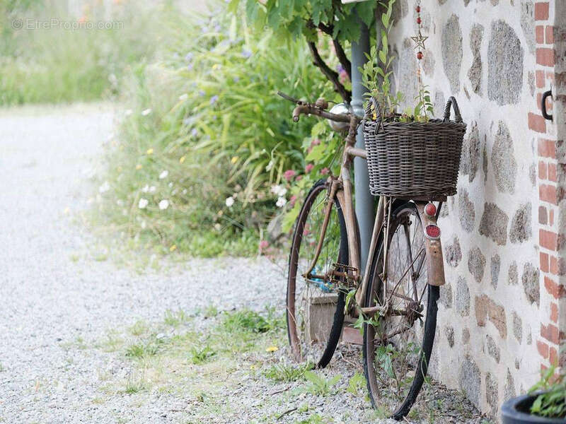 Commerce à SAINT-VAURY
