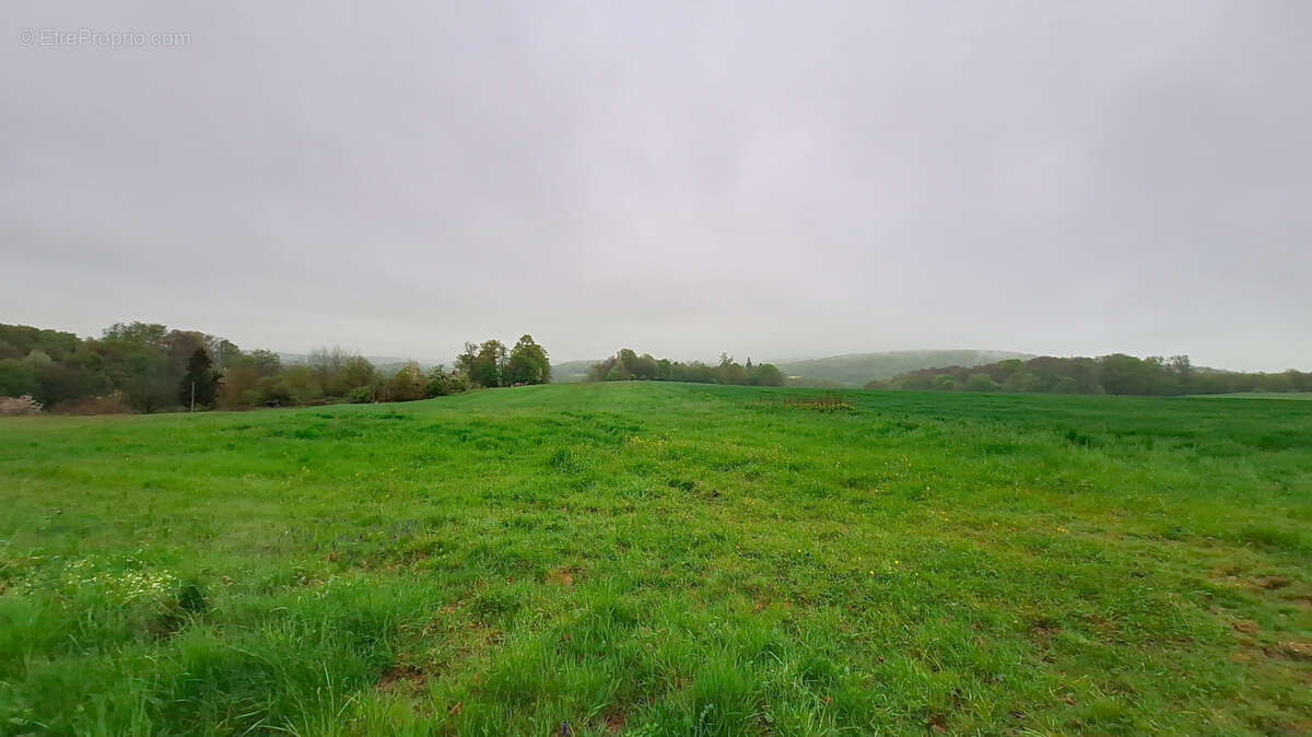 Terrain à COURCELLES