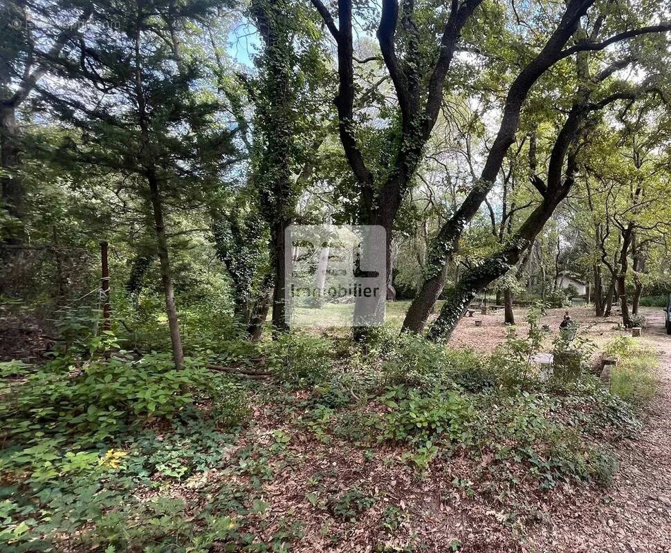 Terrain à VILLENEUVE-LES-AVIGNON