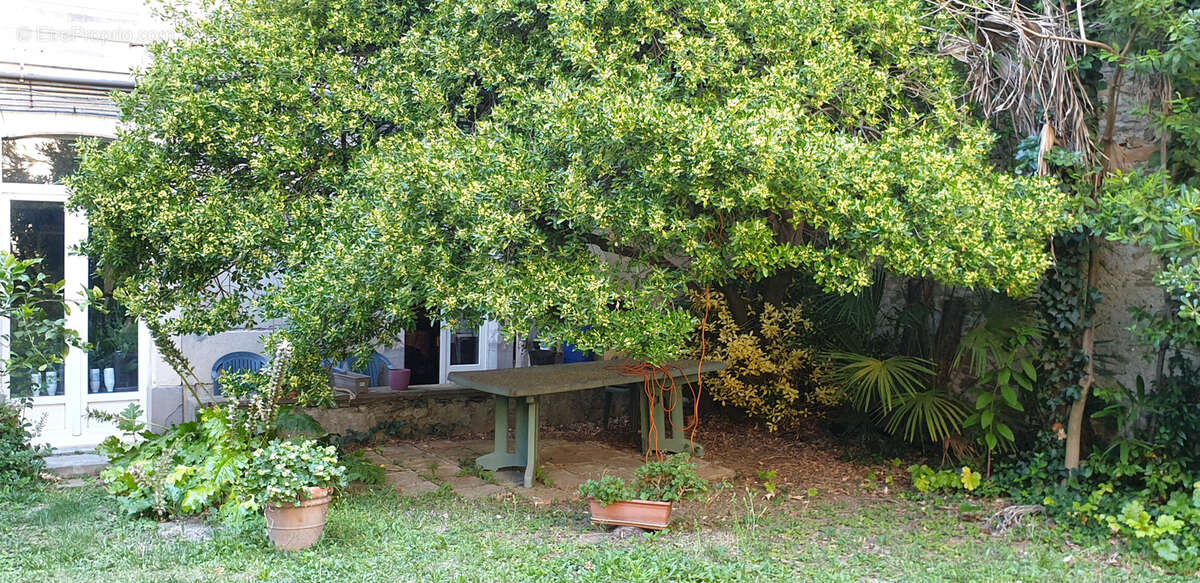 Appartement à CARCASSONNE