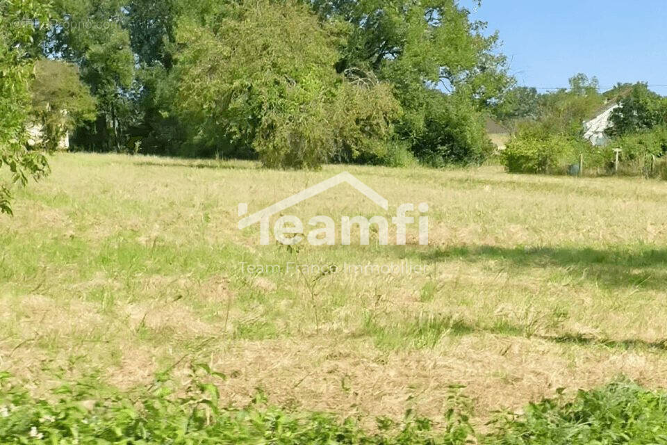 Terrain 4190 m² à Venesmes  - photo 2