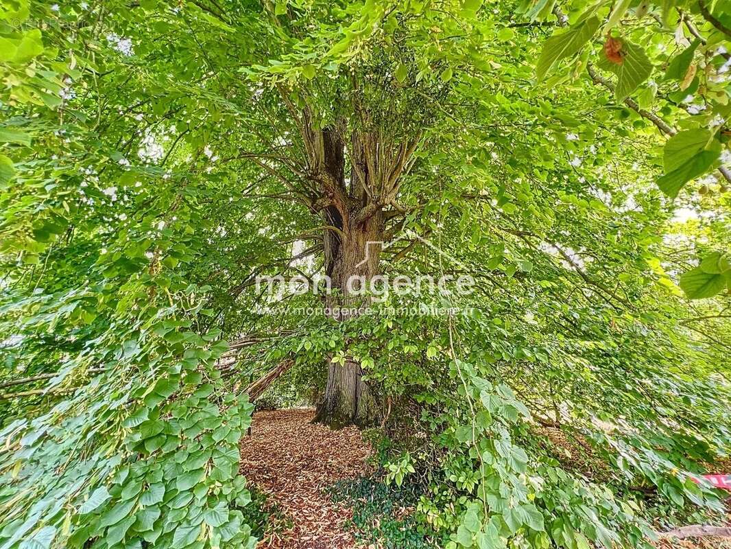 Maison à NEUFCHATEL-EN-BRAY