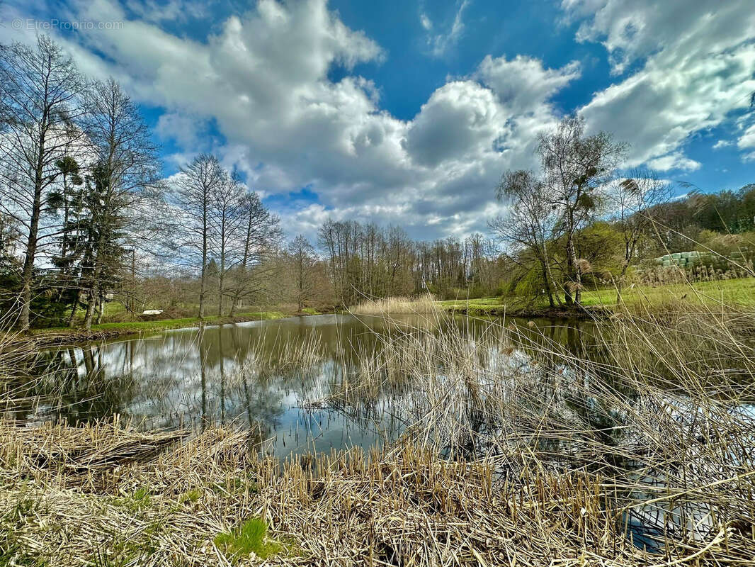 Terrain à RIGNOVELLE