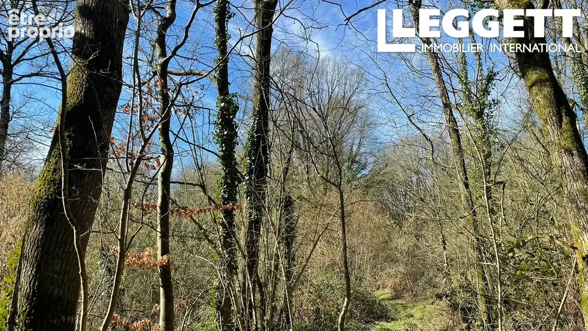 Un terrain boisé, un magnifique espace naturel au cœur de la Bretagne centrale - photo 9