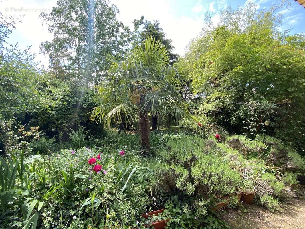 Maison de village atypique à rénover avec jardin et une grande grange - photo 2