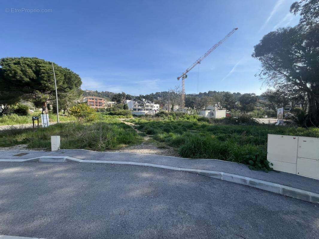 Terrain à BORMES-LES-MIMOSAS