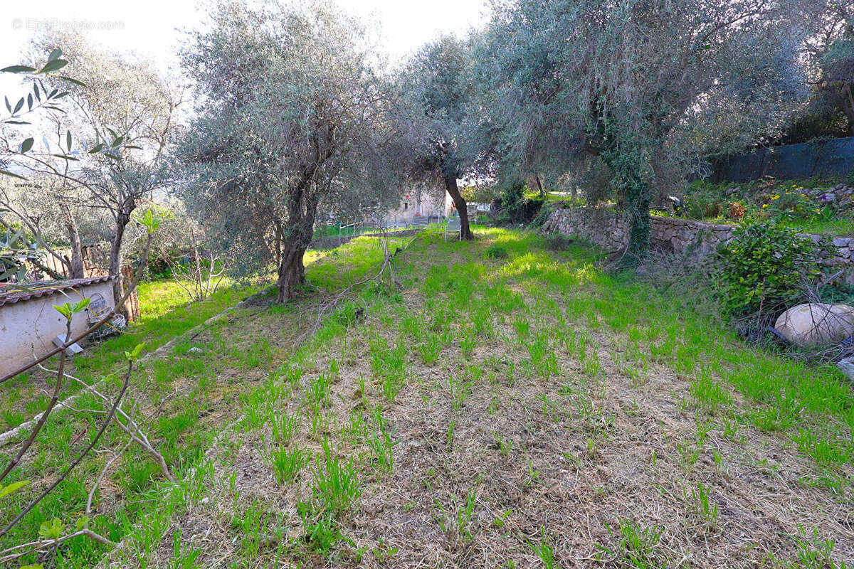 Terrain constructible Speracedes 1392 m² villa 109 m² avec piscine - photo 11