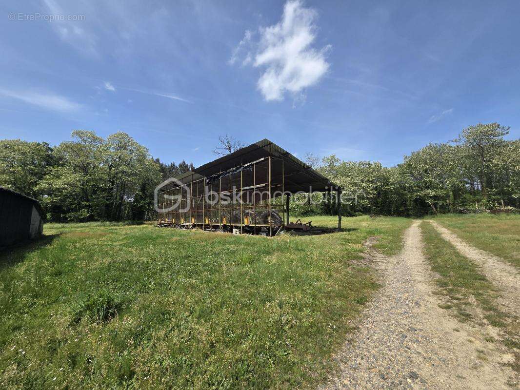 Maison landaise au cœur de la nature - photo 11