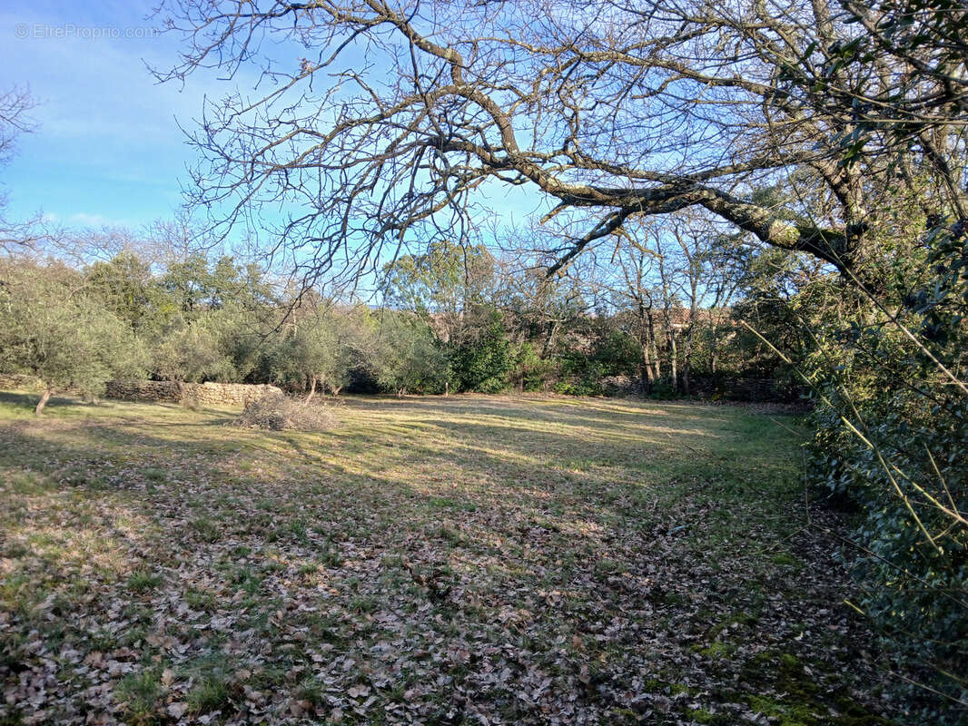 Terrain à DEAUX