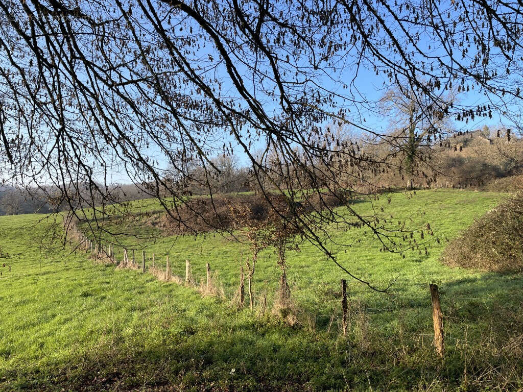 Maison à SAINT-AULAIRE