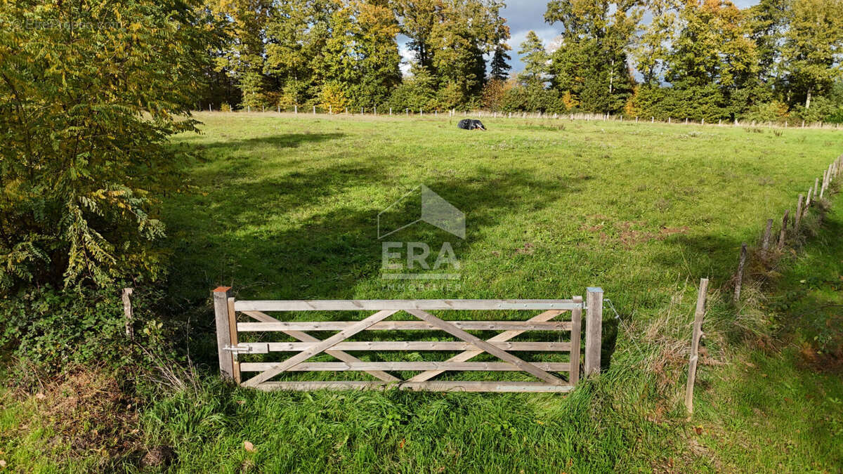 Terrain à SAINT-HILAIRE-SUR-ERRE