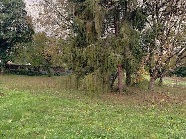 Terrain à BAZAS