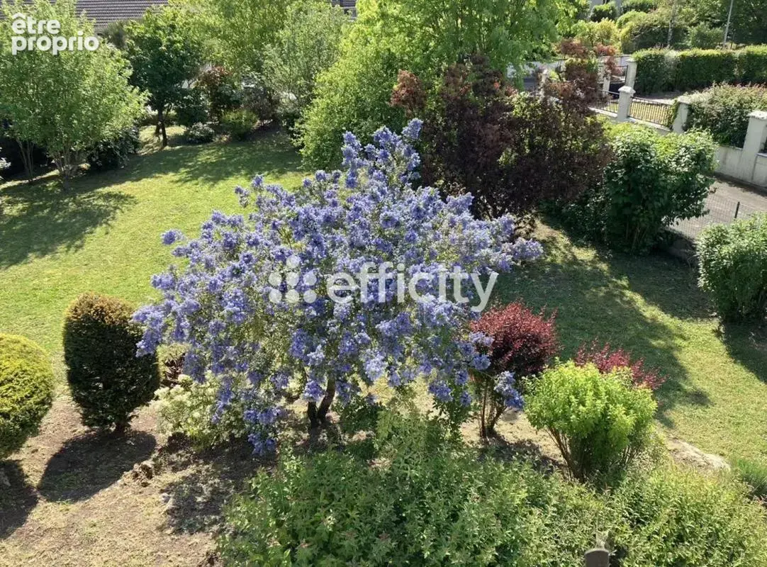 Maison individuelle - photo 5