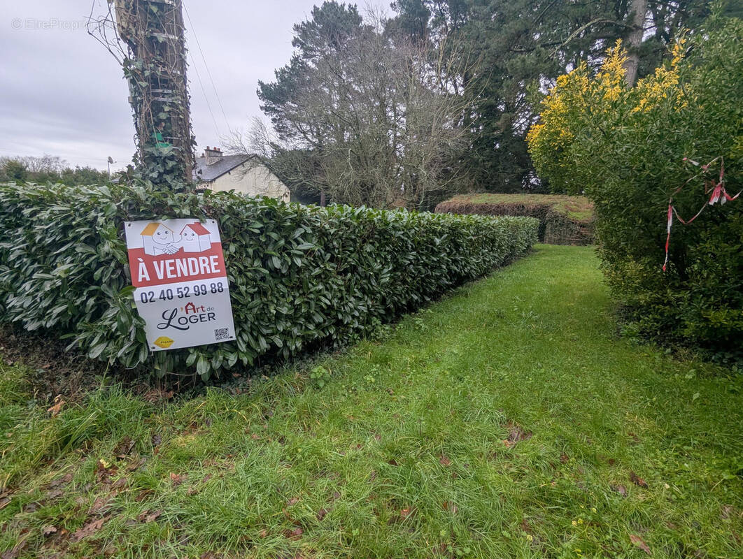 Terrain à SAINT-LYPHARD