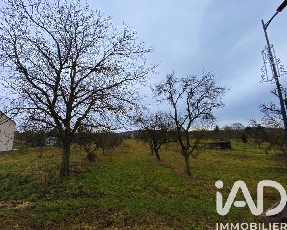 Photo 1 - Terrain à EINVAUX