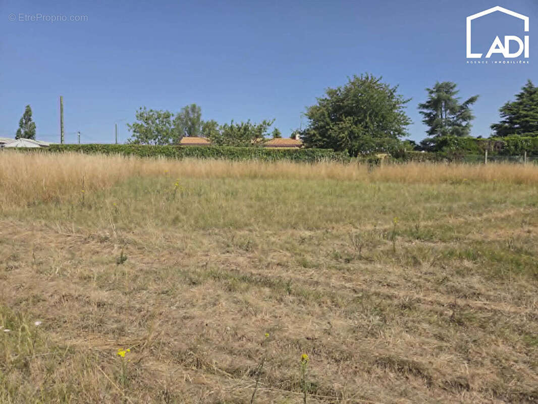 Rare à saint-maixent-l'école ! - photo 2