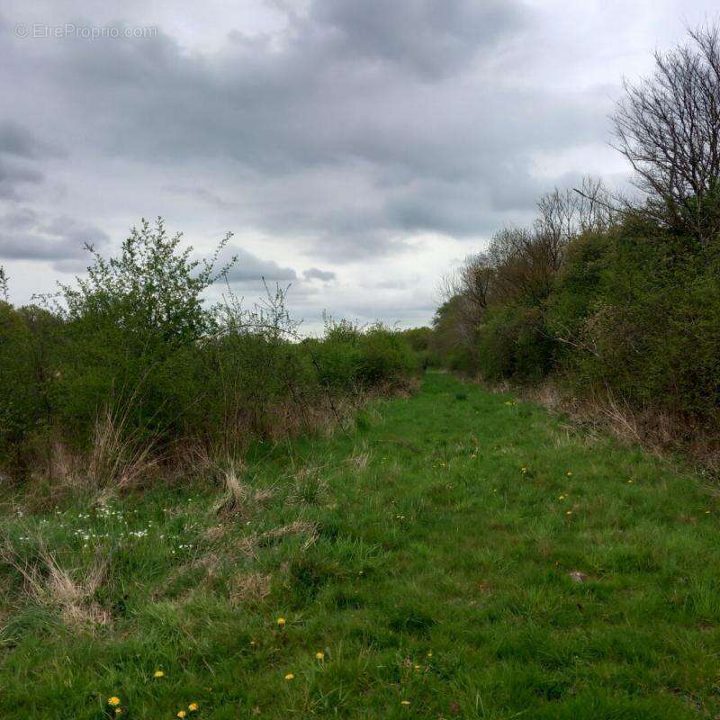 Terrain à COULLONS