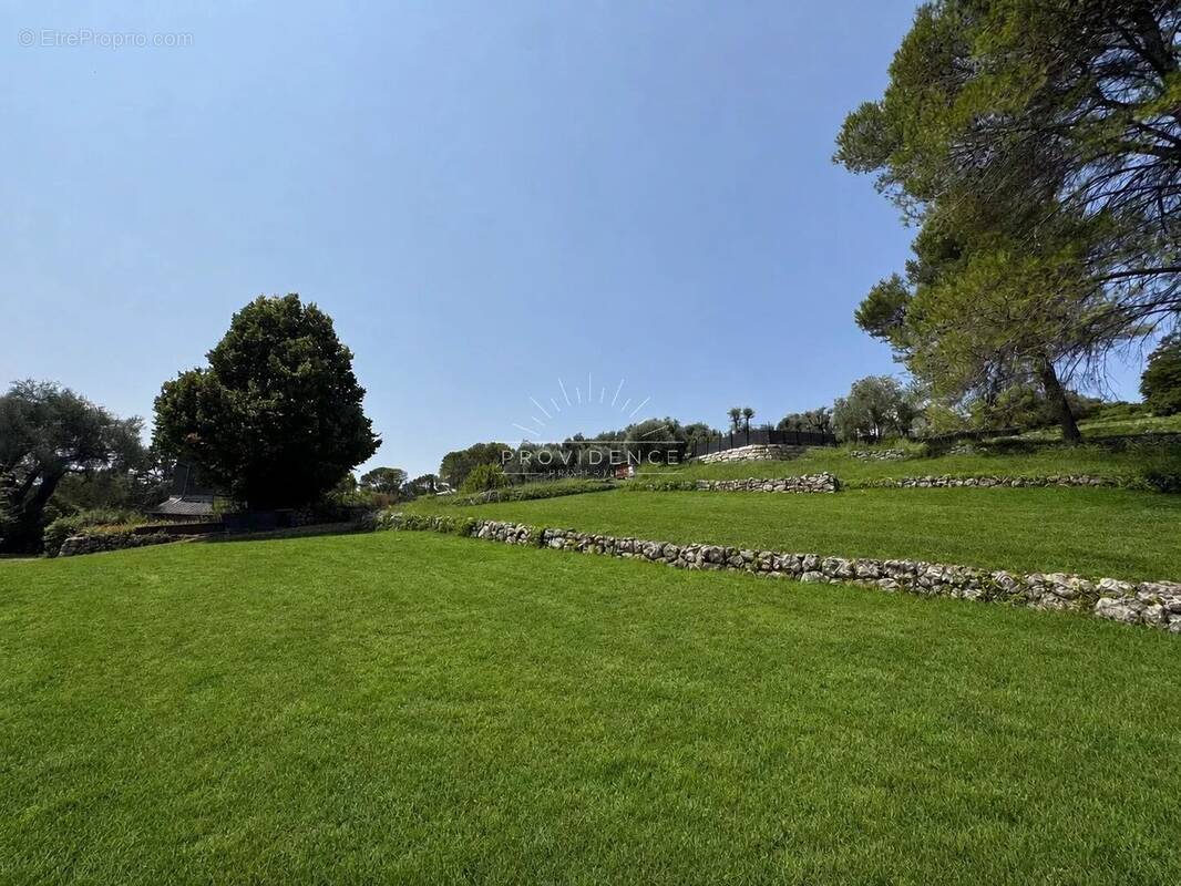 Terrain à MOUGINS