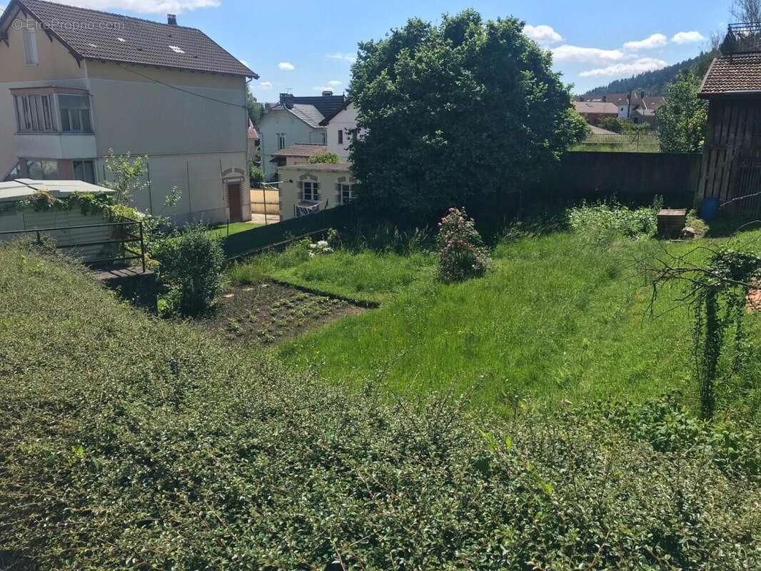 thumbnail_IMG_1478 - Terrain à REMIREMONT