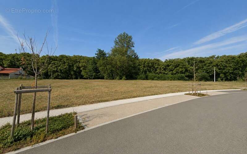 Terrain d’activité de 2 168 m² à vendre – CASTANET-TOLOSAN (31) – Zone Industrielle VIC - photo 4