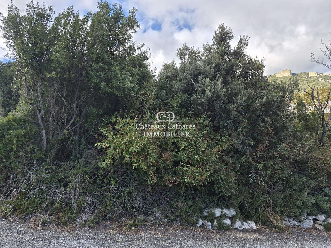 Terrain à DUILHAC-SOUS-PEYREPERTUSE