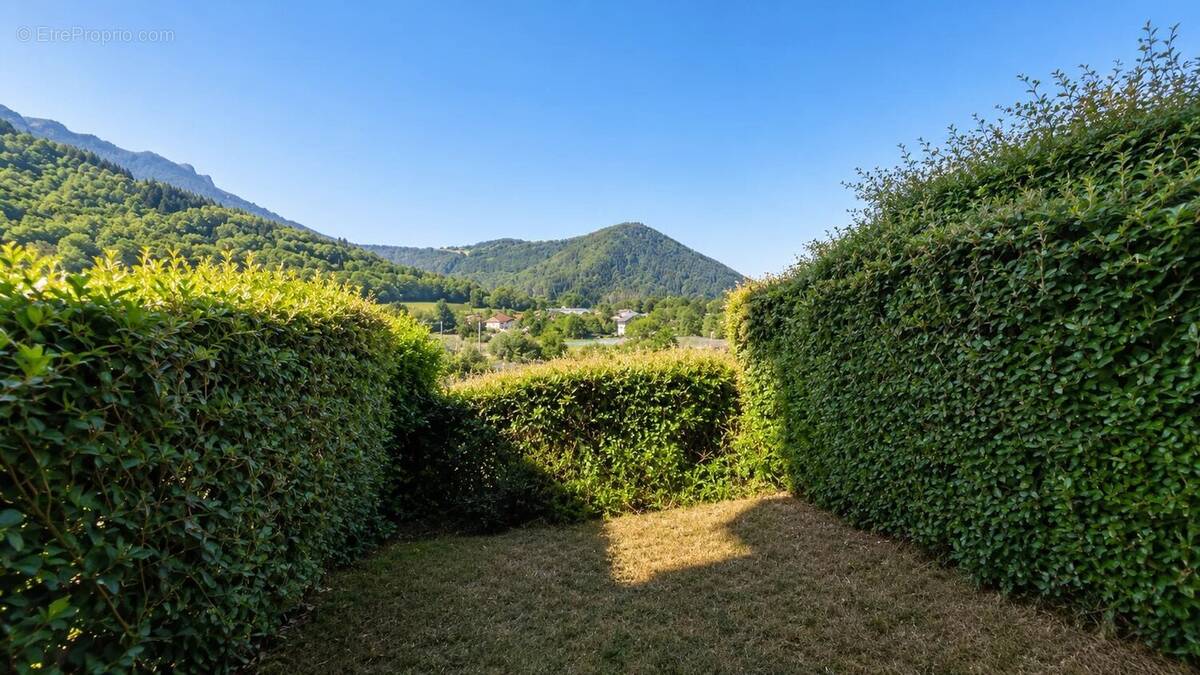 Appartement à THOLLON-LES-MEMISES