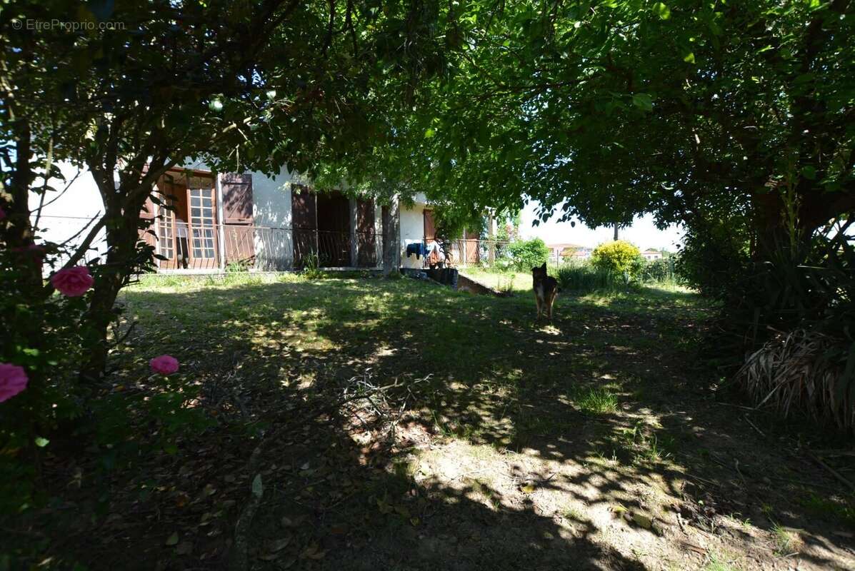 Maison à TOURNEFEUILLE