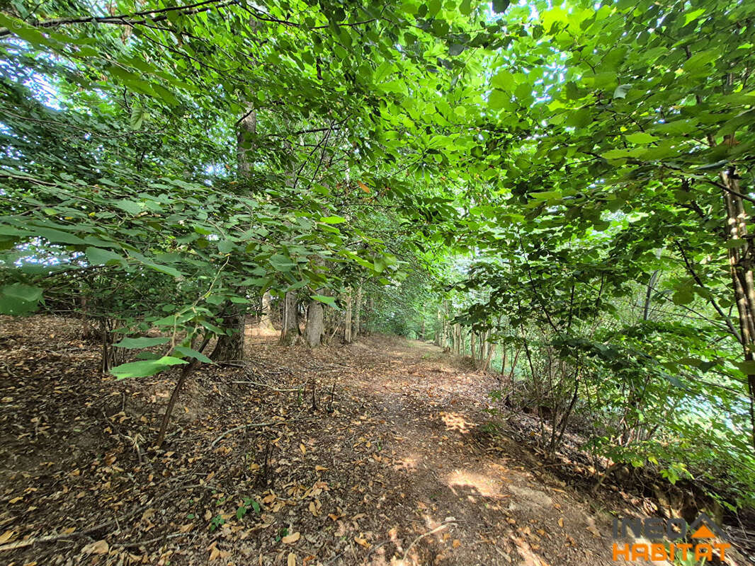 Maison à BOURG-DES-COMPTES