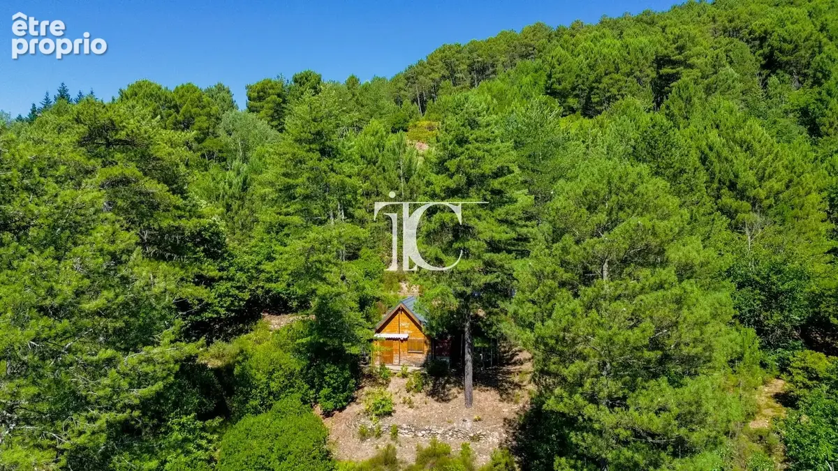 Petit chalet en pleine nature  20 m² habitables  Terrain constructible de 3 846 m² - photo 2