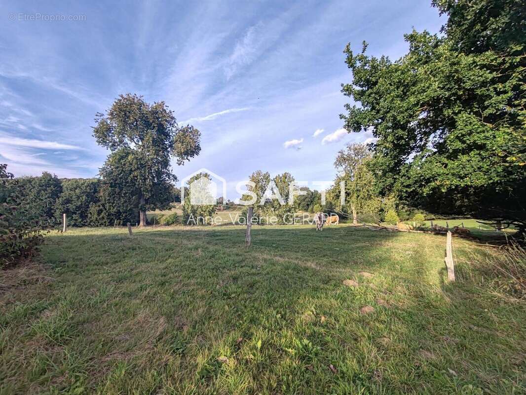 Photo 4 - Maison à PASSAIS