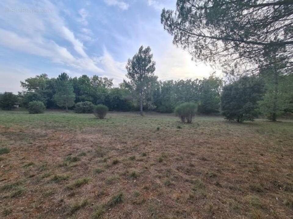 Terrain à TOURVES