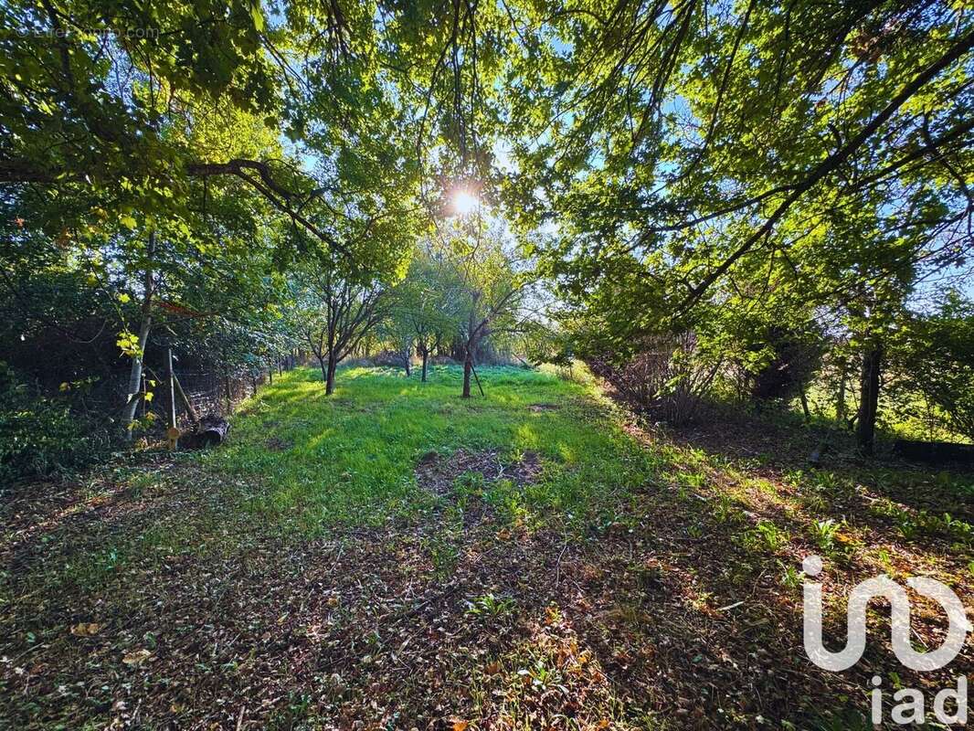 Photo 5 - Terrain à ALLIGNY-COSNE