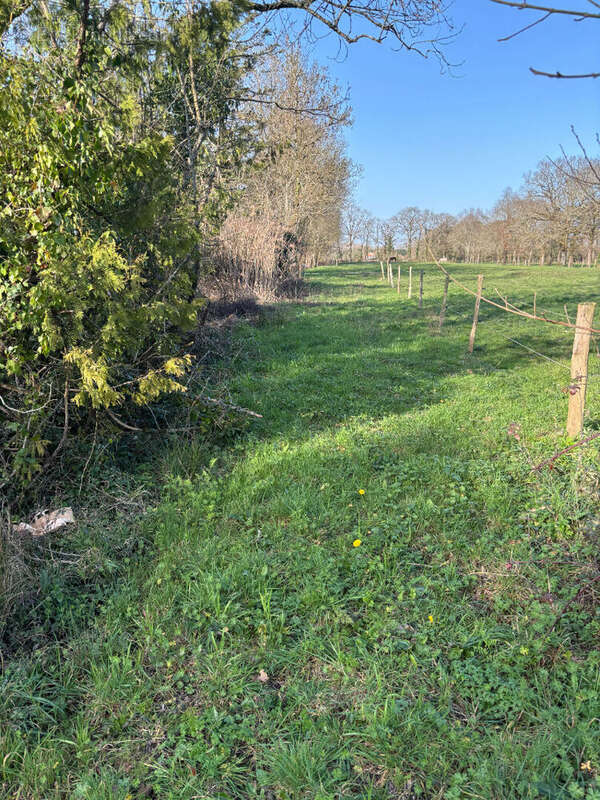 Terrain à SALLERTAINE