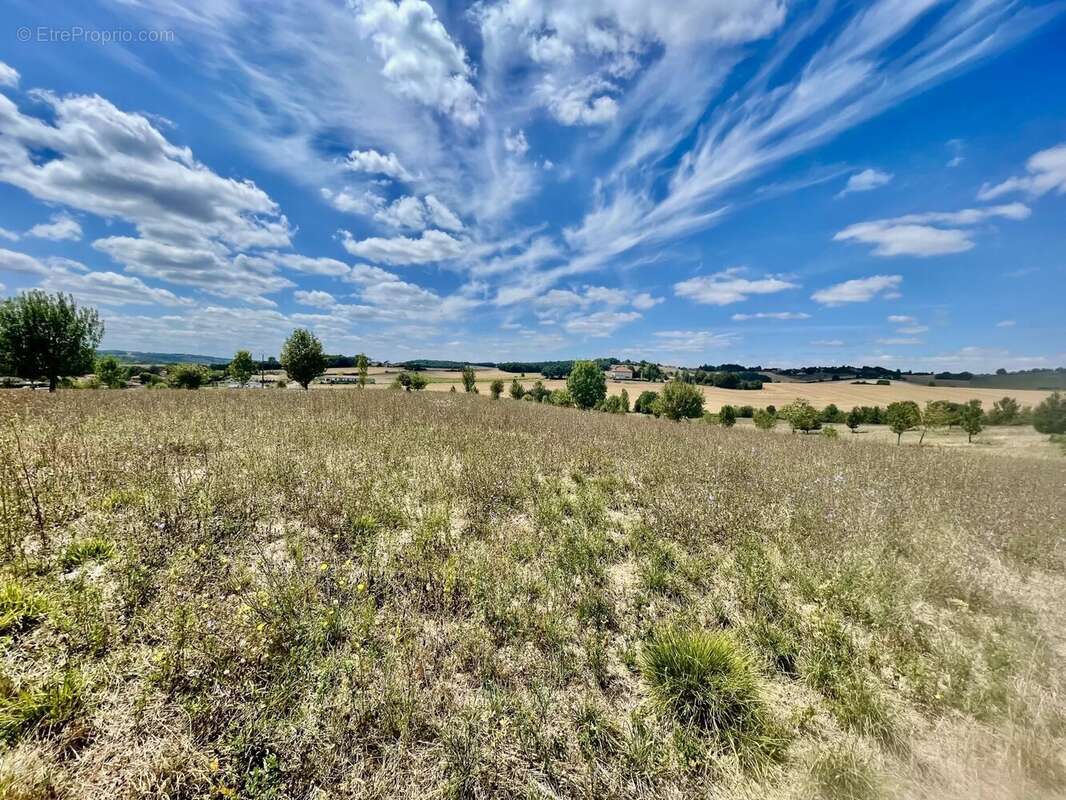 Domaine Gascon de Charme avec Chambres d'Hôtes et Gîtes au Cœur de 14 Hectares de Nature Préservée - photo 25